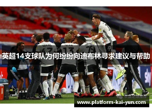 英超14支球队为何纷纷向迪布林寻求建议与帮助 英超14支球队为何纷纷向迪布林寻求建议与帮助
