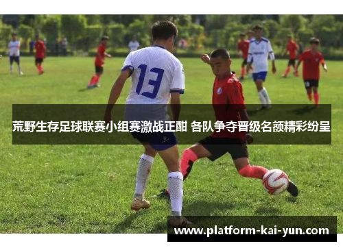 荒野生存足球联赛小组赛激战正酣 各队争夺晋级名额精彩纷呈