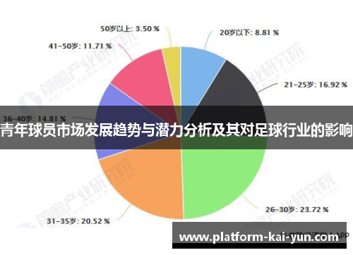 青年球员市场发展趋势与潜力分析及其对足球行业的影响 青年球员市场发展趋势与潜力分析及其对足球行业的影响