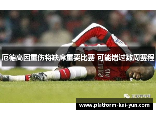 厄德高因重伤将缺席重要比赛 可能错过数周赛程