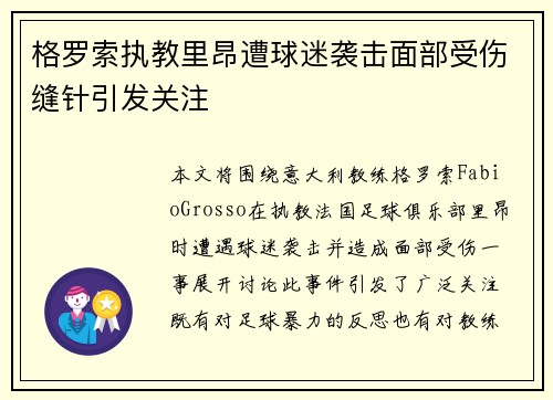 格罗索执教里昂遭球迷袭击面部受伤缝针引发关注